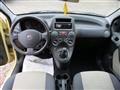 FIAT PANDA 1.2 Dynamic *OK NEOPATENTATI