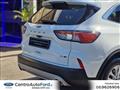 FORD KUGA 2.0 EcoBlue Hybrid 150 CV 2WD Titanium