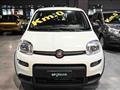 FIAT PANDA Hybrid 1.0 70cv