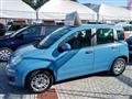 FIAT PANDA 1.3 MJT 95 CV S&S Easy