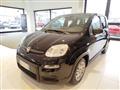 FIAT PANDA 1.0 FireFly S&S Hybrid Pandina