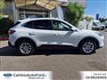 FORD KUGA 2.0 EcoBlue Hybrid 150 CV 2WD Titanium