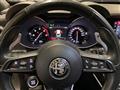 ALFA ROMEO STELVIO 2.2 Turbodiesel 210 CV AT8 Q4 Veloce