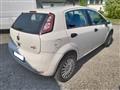 FIAT PUNTO 1.4 8V 5 porte Natural Power Street