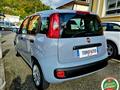 FIAT PANDA 1.2 Easy NEOPATENTATI