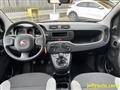 FIAT PANDA 1.0 FireFly S&S Hybrid - OK NEOPATENTATI