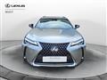 LEXUS UX Hybrid Business