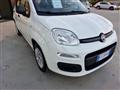 FIAT PANDA III 2016 1.2 Easy s&s 69cv my19