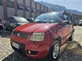 FIAT PANDA 1.2 Climbing 4x4 OK NEO PATENTATO