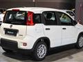 FIAT PANDA Hybrid 1.0 70cv