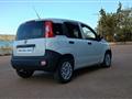 FIAT Panda 1.3 mjt 80cv Panda 1.3 MJT 80 CV S&S 4x4