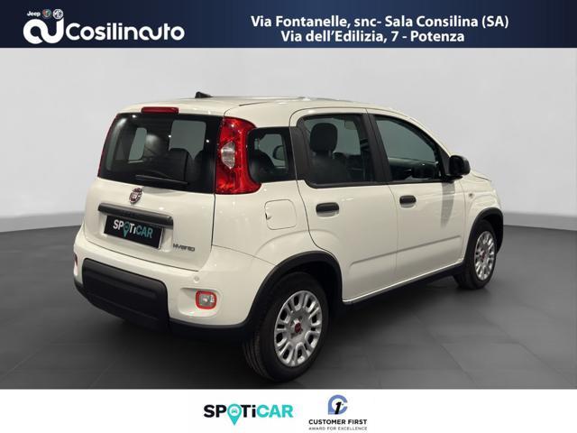 FIAT PANDA 1.0 FireFly S&S Hybrid City Life MY23