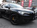 ALFA ROMEO STELVIO 2.2 Turbodiesel 210 CV AT8 Q4 B-Tech