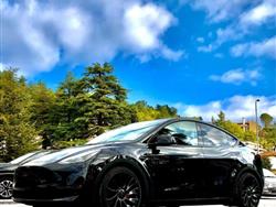 TESLA MODEL Y Performance AWD