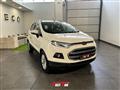 FORD ESCORT 1.5 TDCi 95 CV Business