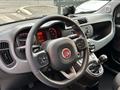 FIAT PANDA 1.0 FIREFLY S&S HYBRID CITY LIFE*U-CONNECT*USB