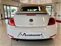 VOLKSWAGEN MAGGIOLINO Cabrio 1.2 TSI Design Navig PREZZO REALE !!