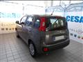 FIAT PANDA 1.0 firefly hybrid 70cv 5 posti