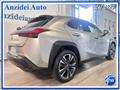 LEXUS UX Hybrid Premium