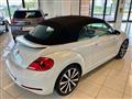 VOLKSWAGEN MAGGIOLINO Cabrio 1.4 TSI DSG R Line PREZZO REALE !!