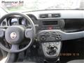 FIAT PANDA 1.0 firefly hybrid tg : GJ764JH