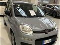 FIAT PANDA 1.2 Easy con promo "PANERO PLUS"