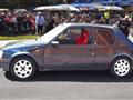 PEUGEOT 205 1.9 Gti 130cv