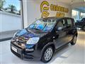 FIAT PANDA 1.0 FireFly S&S Hybrid Pandina da ?149,00 mensili