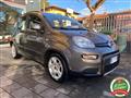 FIAT PANDA 1.0 hybrid City Life PREZZO REALE