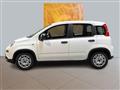 FIAT PANDA CROSS 1.0 Hybrid MY23 70cv