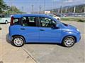 FIAT PANDA III 2016 1.3 mjt 16v Easy s&s 95cv