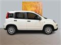 FIAT PANDA CROSS 1.0 Hybrid MY23 70cv