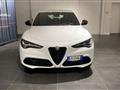 ALFA ROMEO STELVIO 2.2 Turbodiesel 210 CV AT8 Q4 Sprint