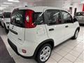 FIAT PANDA 1.0  Hybrid SENZA FINANZIAMENTO