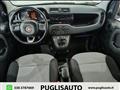 FIAT PANDA 1.3 MJT 80 CV S&S Easy