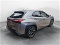 LEXUS UX Hybrid 4WD Premium