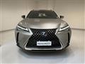 LEXUS UX Hybrid Business