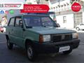 FIAT PANDA 900 i.e. cat Young