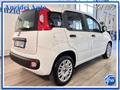 FIAT PANDA 1.2 EasyPower GPL Easy