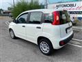 FIAT PANDA 1.2 Lounge NEOPATENTATI