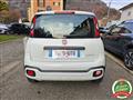 FIAT PANDA 1.0 FireFly S&S Hybrid Easy