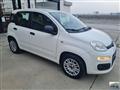 FIAT Panda 1.2 Trussardi