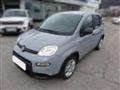 FIAT PANDA FIAT PANDA