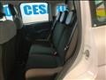 FIAT PANDA 1.0 firefly hybrid 70cv 5 posti