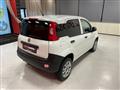 FIAT PANDA VAN 0.9 TWINAIR POP VAN 2 POSTI - IVA ESPOSTA