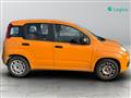 FIAT PANDA 1.0 firefly hybrid s&s 70cv