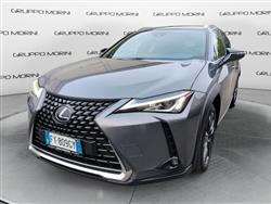 LEXUS UX Hybrid Executive