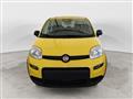 FIAT PANDA 1.0 FireFly S&S Hybrid Pandina