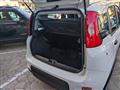 FIAT Panda FIAT Panda 1.0 firefly hybrid s&s 70cv