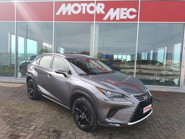 LEXUS NX 300 h 2.5 Business 4wd cvt 24 mesi Garanzia